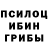 Псилоцибиновые грибы Cubensis Nadezhda Ab