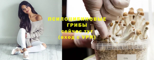 трава Абинск
