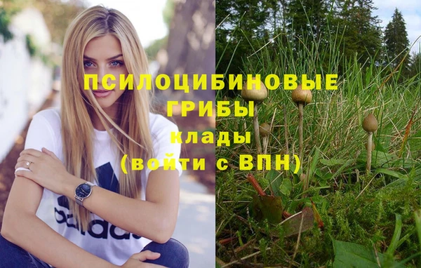 трава Абинск