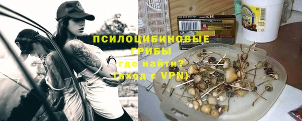 а пвп мука Абаза