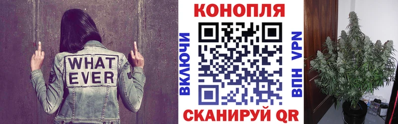купить наркоту  Новоалександровск  ОМГ ОМГ маркетплейс  Шишки марихуана гибрид 